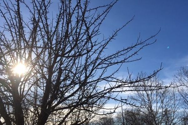 Un air de mai en plein hiver