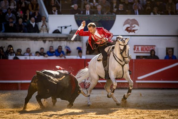 Une corrida lors de la feria des vendanges, le 15 septembre 2024 - Photo d'illustration