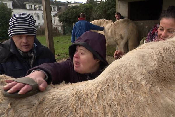 Au foyer de vie des Corvisettes à Plumelec, dans le Morbihan, la présence du cheval a de réelles vertus thérapeutiques pour ces adultes qui ont un handicap mental.