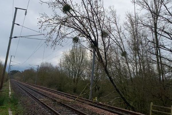 Des arbres sont tombés sur l'axe ferroviaire entre Rennes et Redon, perturbant la circulation des trains. 