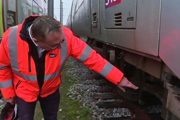 Un TER accidenté par un choc avec un animal sauvage.