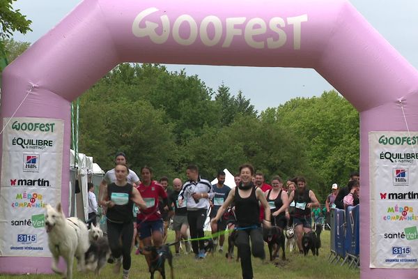 Le Woofest, un festival dédié aux chiens à Miribel-Jonage (18/5/24)