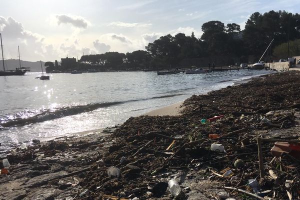 Après les intempéries de mercredi soir, la mer a charrié des déchets sur la plage à la Seyne-sur-Mer (Var).