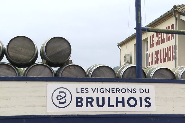 Les vignerons du Brulhois sont placés en procédure de sauvegarde.