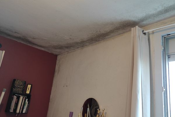 Les murs sont nettoyés régulièrement et ont été repeints il y a 3 mois, mais malgré cela, les moisissures reviennent sans cesse.