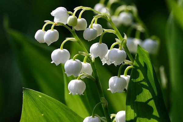 Un peu de soleil pour le week-end du 1er mai. 