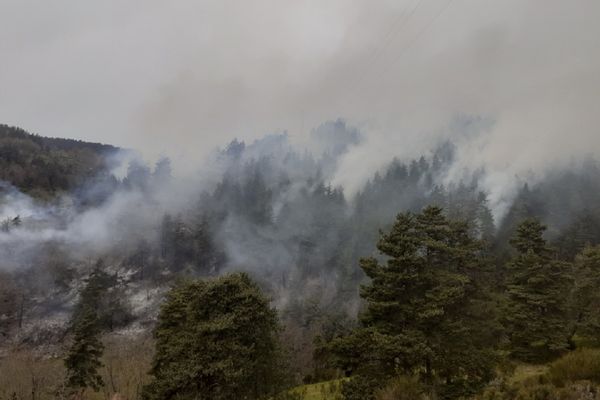 Un feu de forêt s'est déclaré à Saint-Haon en Haute-Loire ce mardi 20 avril : 12 hectares de forêt sont partis en fumée. 