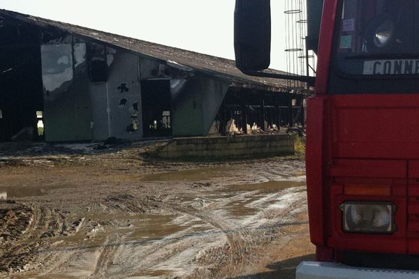 Les restes du bâtiment avicole après l'incendie qui a fait quatre blessés parmi les pompiers  