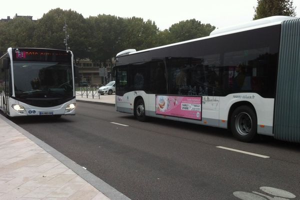 La ligne de bus 7 est devenue aujourd'hui (lundi 1er septembre) la ligne F1.