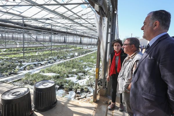 Le 17 juin dernier, le ministre de l'Agriculture, Didier Guillaume, constatait les dégâts dans la Drôme après une violente tempête de grêle. L'état de catastrophe naturelle a été déclaré sur 25 communes d'Auvergne Rhône-Alpes.