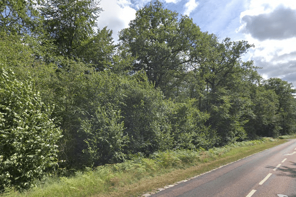 La forêt d'Ermenonville dans l'Oise est interdite au public dans le cadre du confinement lié au coronavirus. Tout comme les forêts de Hez, Laigue, Chantilly, Halatte et Compiègne.