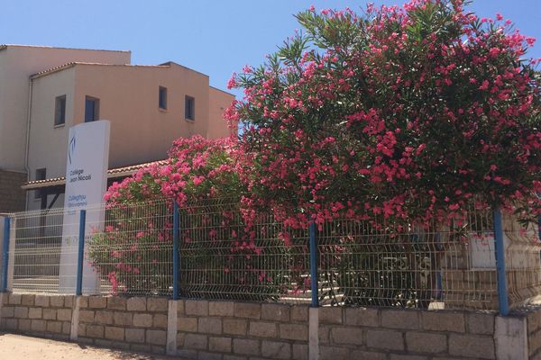 Un laurier rose a été infecté par un cas de Xylella fastidiosa au Collège Jean Nicoli de Propriano.