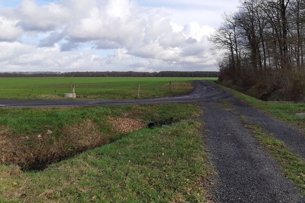 C'est sur ce terrain de La Ferté-Saint-Cyr, ici le 17 janvier 2020, que doit être aménagé le complexe touristique du "Chambord Country Club".