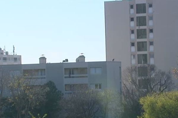 Cité des Micocouliers à Marseille