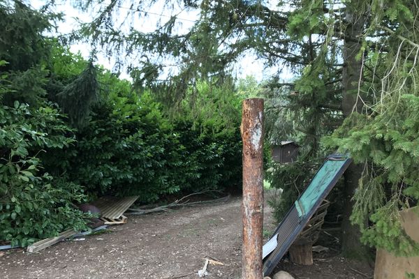 La ZAD de Roybon installée depuis 6 ans dans la forêt de Chambaran (Isère) est évacuée, ce mardi 13 octobre.