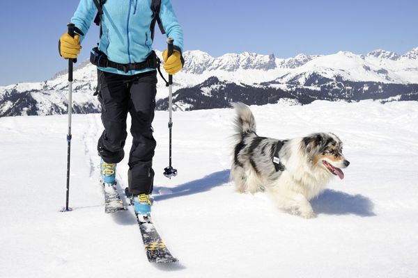 Il n'est pas toujours évident de trouver une station de ski "Dog Friendly" dans les Pyrénées.