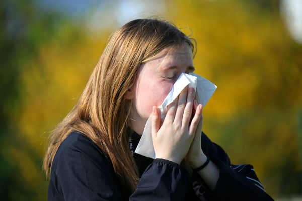 Près de 30% des Français sont touchés par les allergies au pollen.