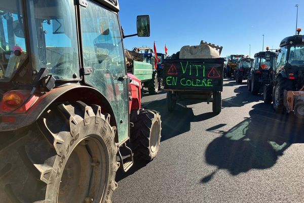 À Béziers, les viticulteurs expriment leur colère ce jeudi matin.