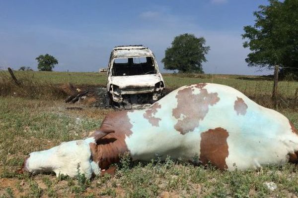 Motey-Besuche : vaches massacrées