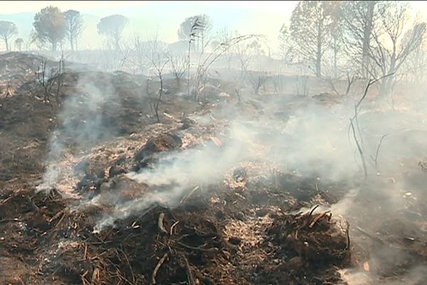 L'incendie de Millas (Pyrénées-Orientales) du 16 juillet 2019