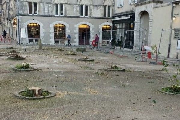 Les dix robiniers autrefois présents devant le Café bleu, près de la cathédrale, ont été abattus.