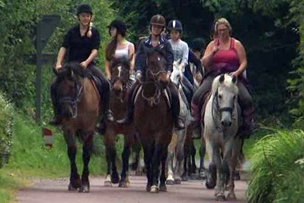 Equitation au haras des Louveaux au Molay Littry 