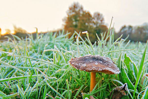 Du givre au petit matin promet la météo