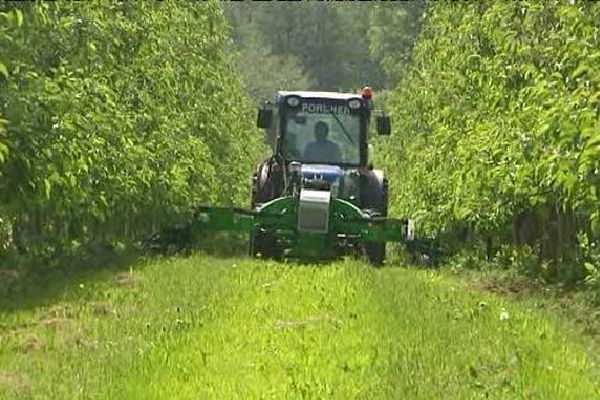 Cette machine était conçue à l'origine pour désherber les vignes.