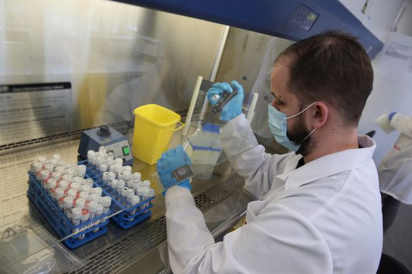 Le séquençage des tests PCR positifs permet d'identifier les différents variants. 