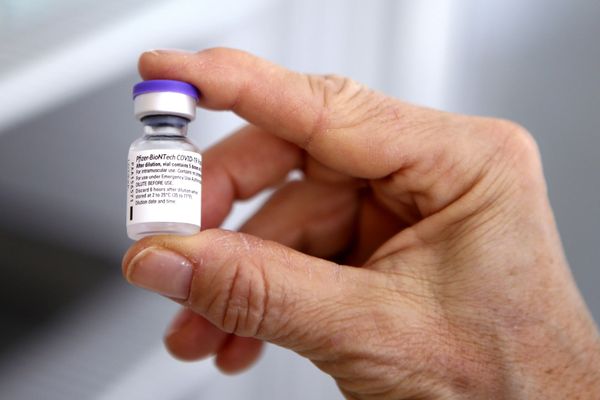 Flacon de vaccin Pfizer/BioNTech contre le Covid-19. 