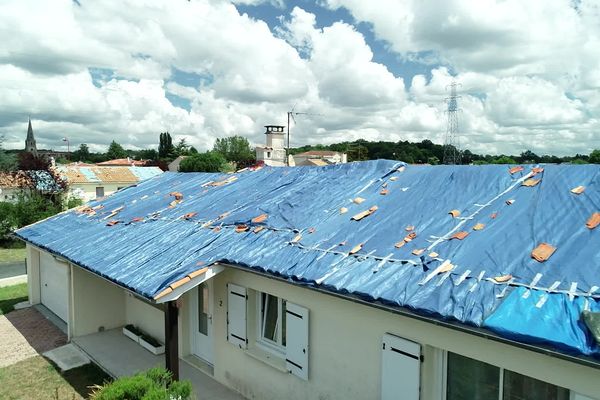 Les bâches agricoles installées sur des centaines de maisons résisteront-elles à nouvelles intempéries alors que les assureurs tardent à prendre en charge les réparations ?