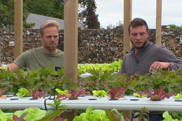 Edouard Coral (à gauche) et Nicolas Fessard-Simon (à droite), ont testé leur système aquaponique pendant deux ans avant de planter leurs premières salades