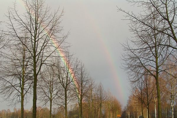 La terre à soif, la pluie est bienvenue.