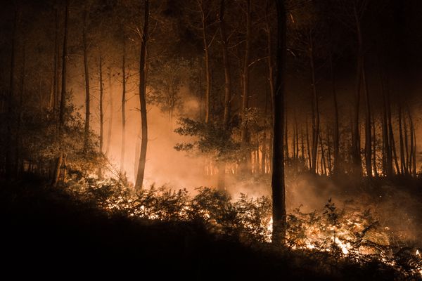 incendie forêt de Bédenac (17)