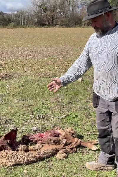 Rolland Gautier, éleveur au Puy-Sainte-Réparade le 11 mars 2024