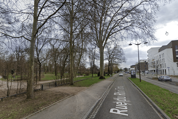 Un arbre s'est déraciné, rue du Rhin Tortu à Strasbourg, blessant grièvement un agent de la propreté urbaine, mardi 8 octobre.