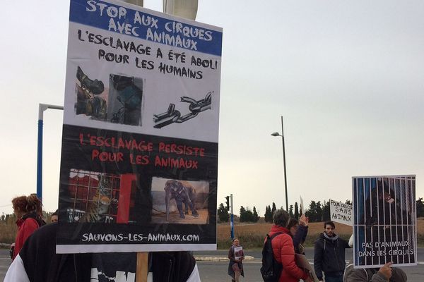 Sensibilisation contre "L'esclavage animalier" à la sortie du cirque Bouglione, à Montpellier.