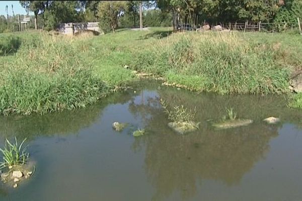 La rivière l'Angillon est presque à sec. Les eaux usées s'y déversent.