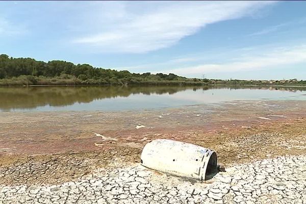 En se retirant, l'eau laisse place à de la boue, véritable piège pour les oiseaux