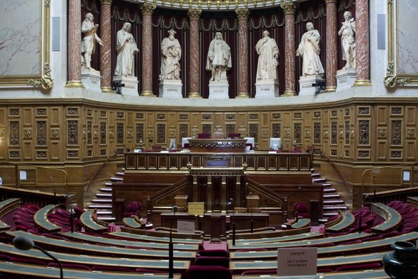 Le sénat a adopté la constitutionnalisation de l'IVG.