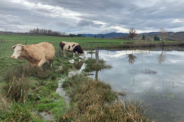 L'Ardèche a connu en 2022 une sécheresse jamais enregistrée auparavant, obligeant tous acteurs à envisager des solutions notamment pour les cultures et les troupeaux