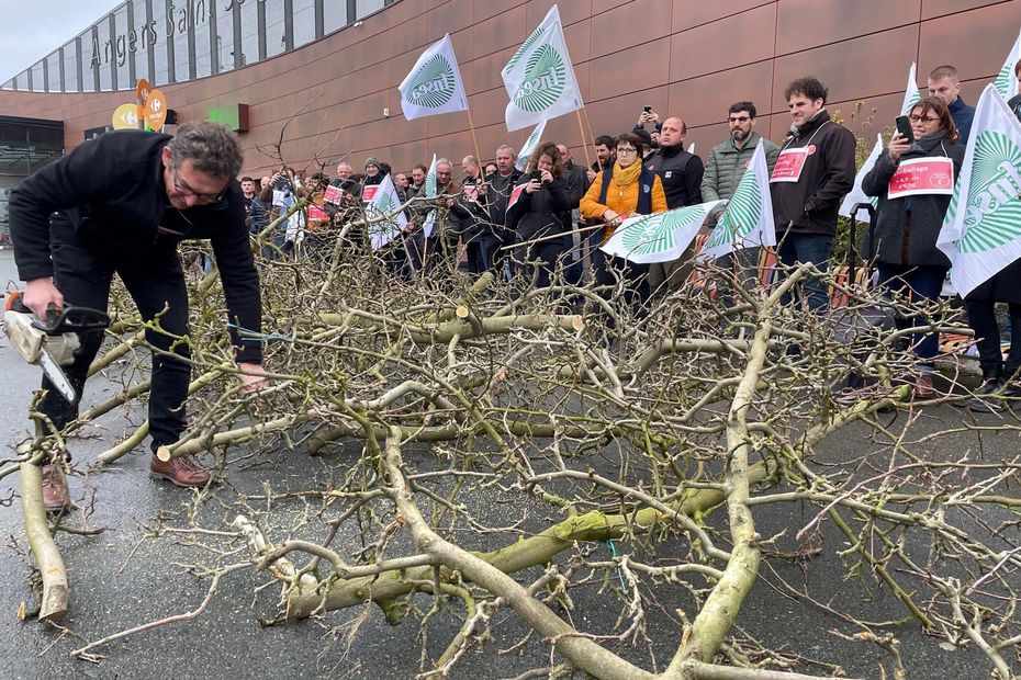 The anger of apple producers in Maine-et-Loire, the third largest producer in France