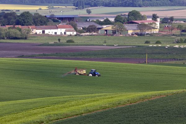 La distance minimale entre les habitations et les épandages de pesticides est le principal point de crispation.