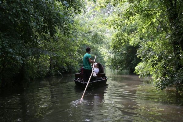 Le Marais Poitevin dans les Deux-Sèvres.