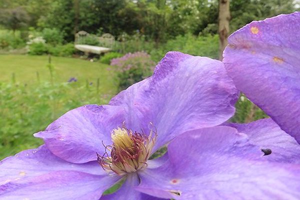 Le jardin des Pics Verts à St-Germain-de-Modéon en Côte-d'Or 