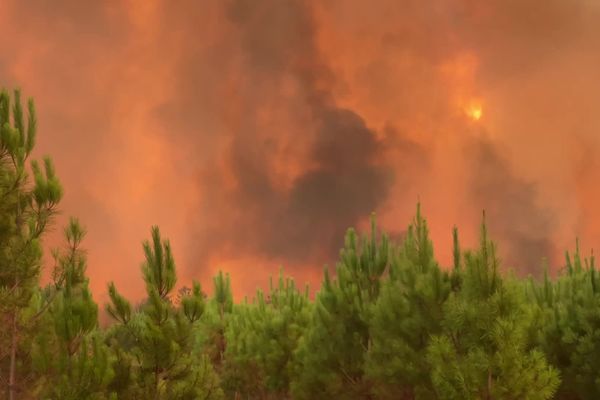 La pinède en flammes à Belin-Béliet en Gironde mercredi 10 août 2022. Le feu avance à 1 km/heure et change en permanence de direction ce qui rend le combat des sapeurs-pompiers très difficile.