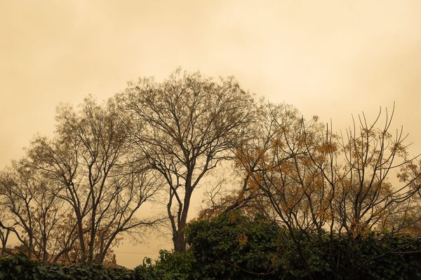 De nouvelles pluies de sables sont attendues cette semaine du 18 juin, accompagnées de fortes chaleurs.