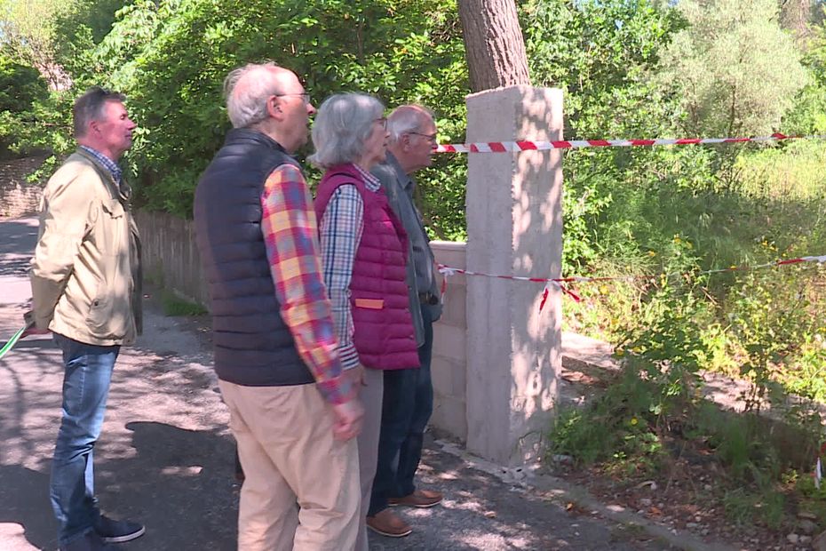 Puech du Teil space in Nîmes: motion to save lots of 6000m² of vegetation towards an actual property mission