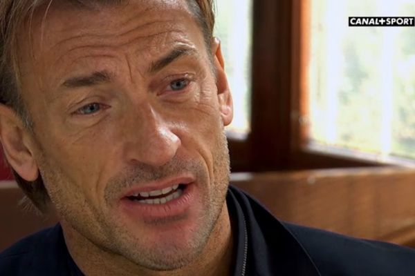 Hervé Renard, ex-entraîneur du LOSC, ce lundi sur Canal +.