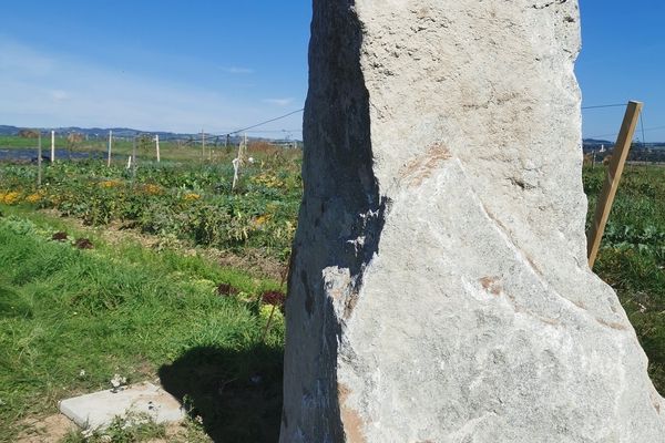 Barbara a décidé d'installer un menhir sur sa propriété. Objectif : repousser les ondes telluriques néfastes